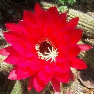 Meet your Posher, Donna